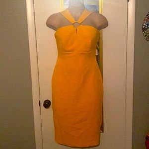 Gabrielle Union New York & Company Size 10 Dress